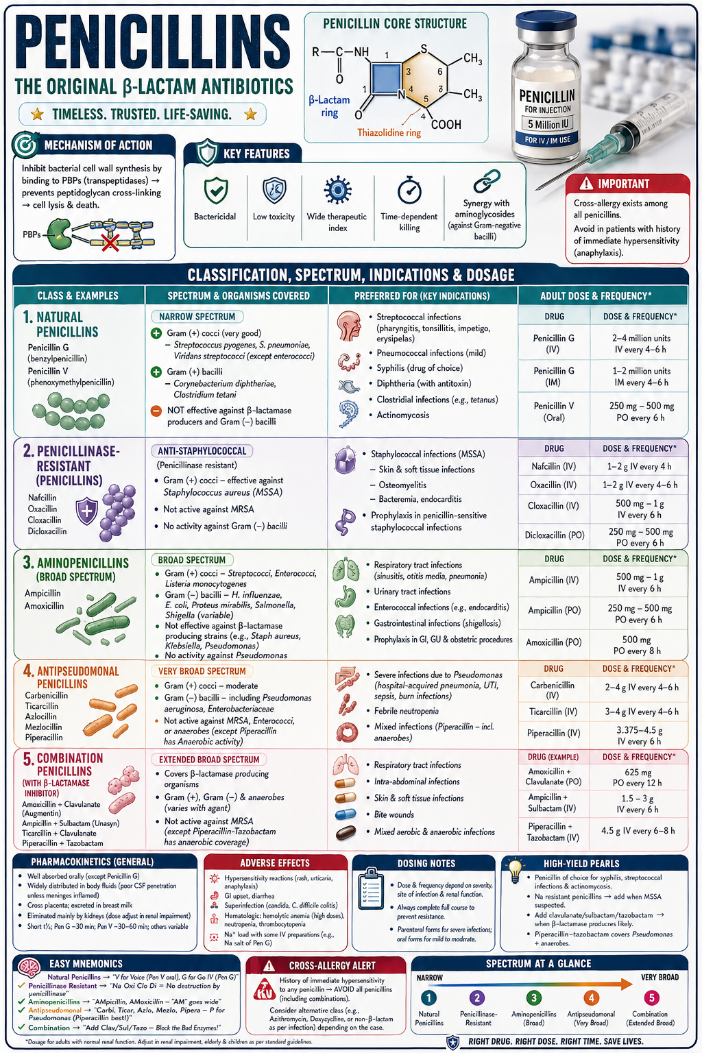Penicillins — Classification, Spectrum & Dosage