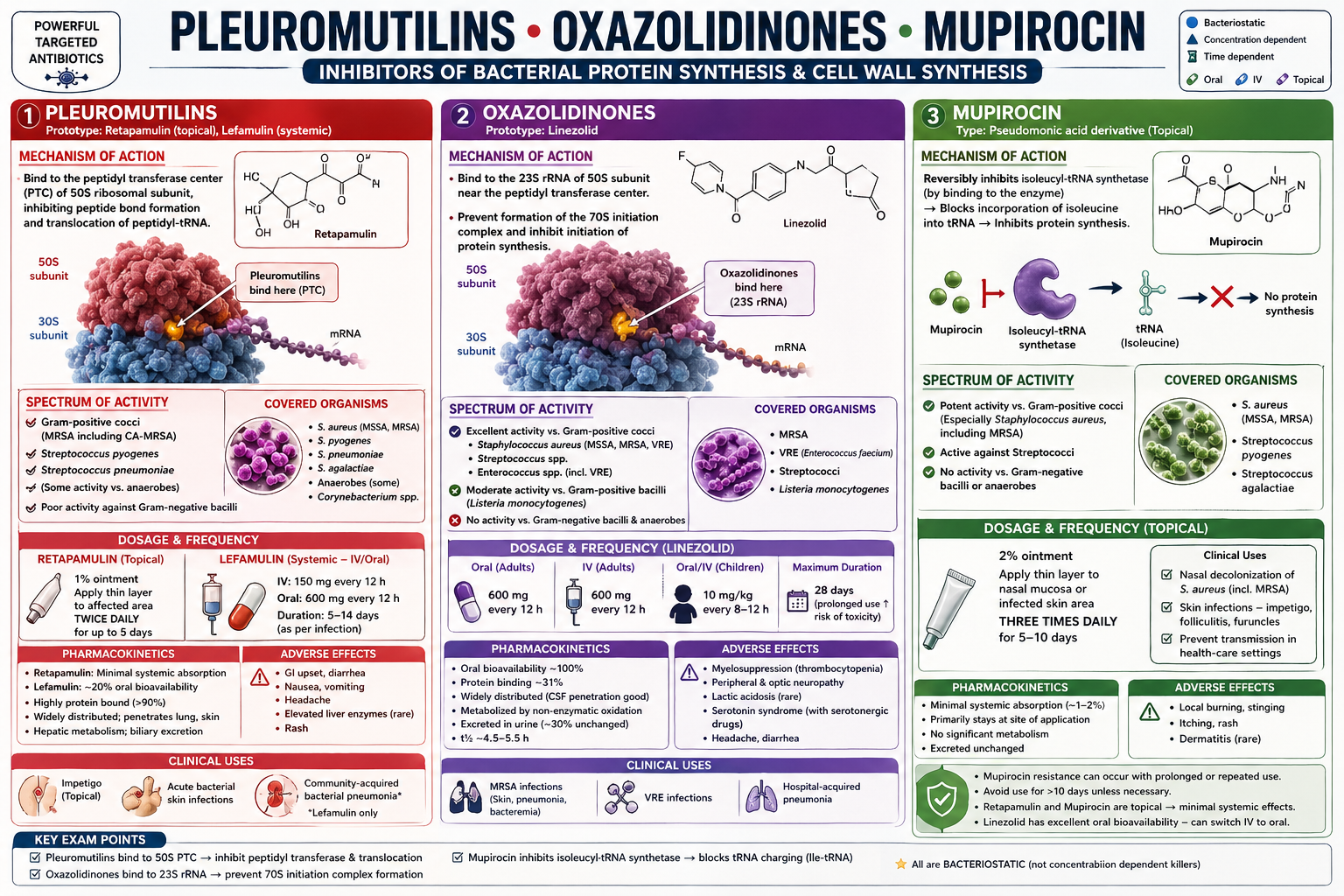 Pleuromutilins, Oxazolidinones, Mupirocin